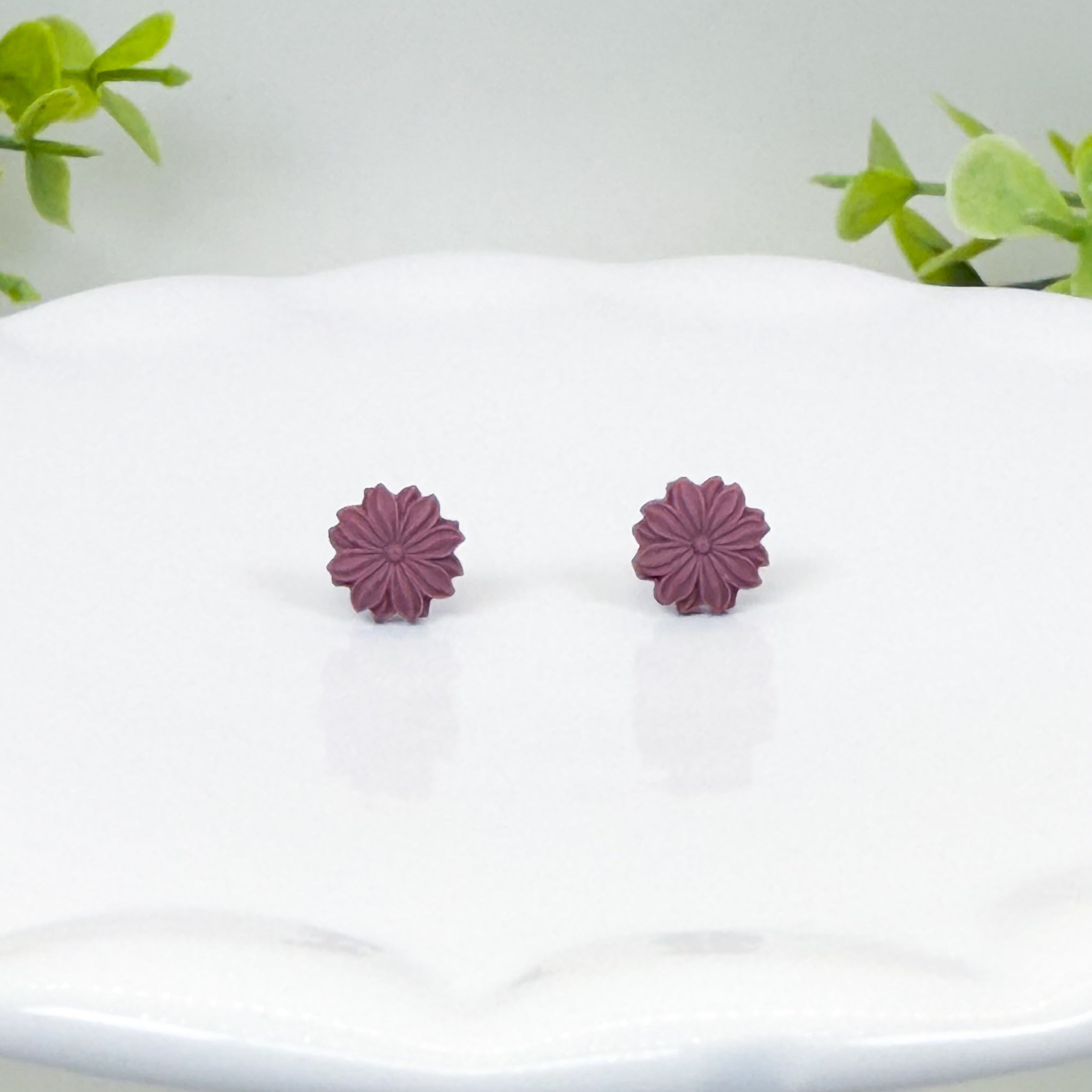 Chrysanthemum Studs