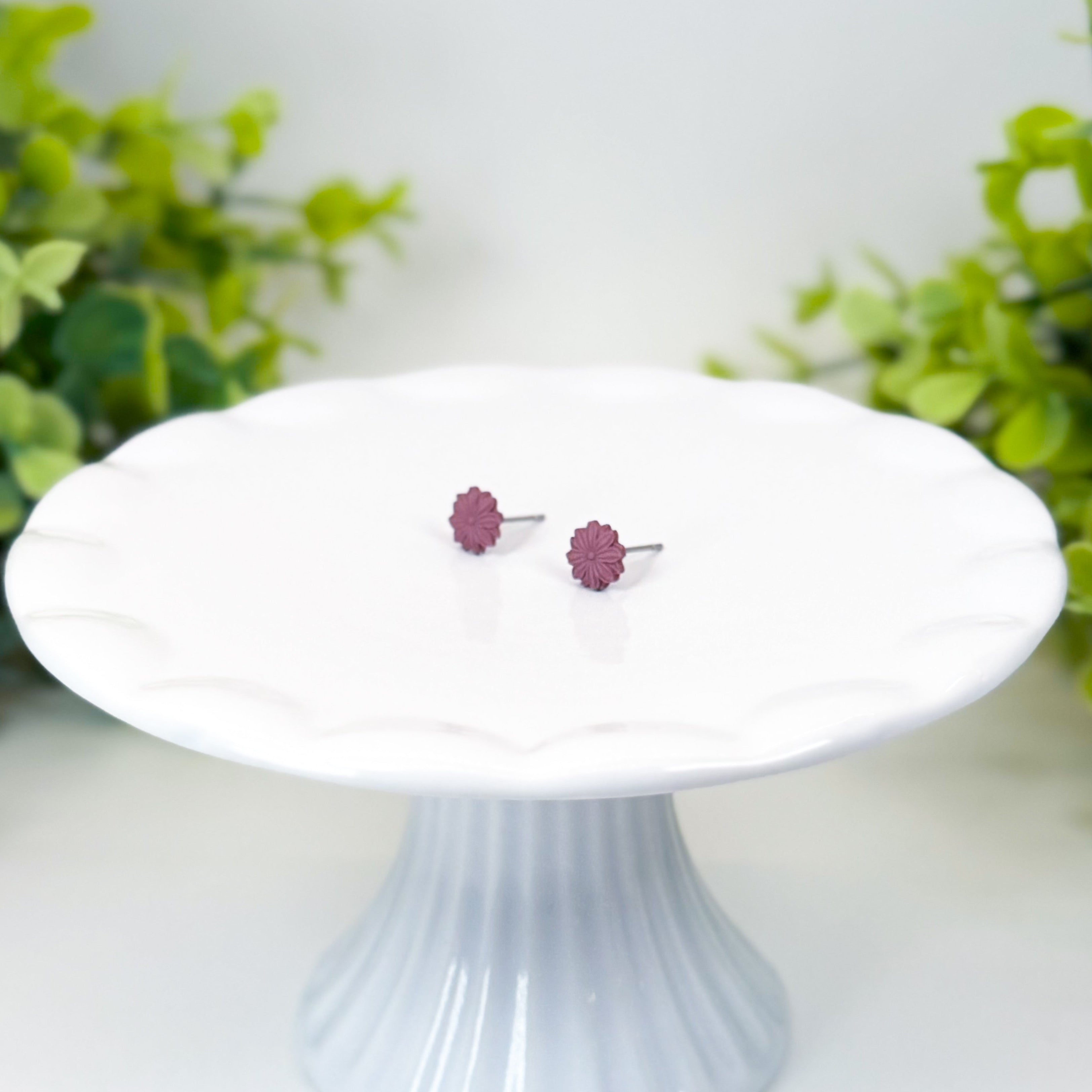 Chrysanthemum Studs