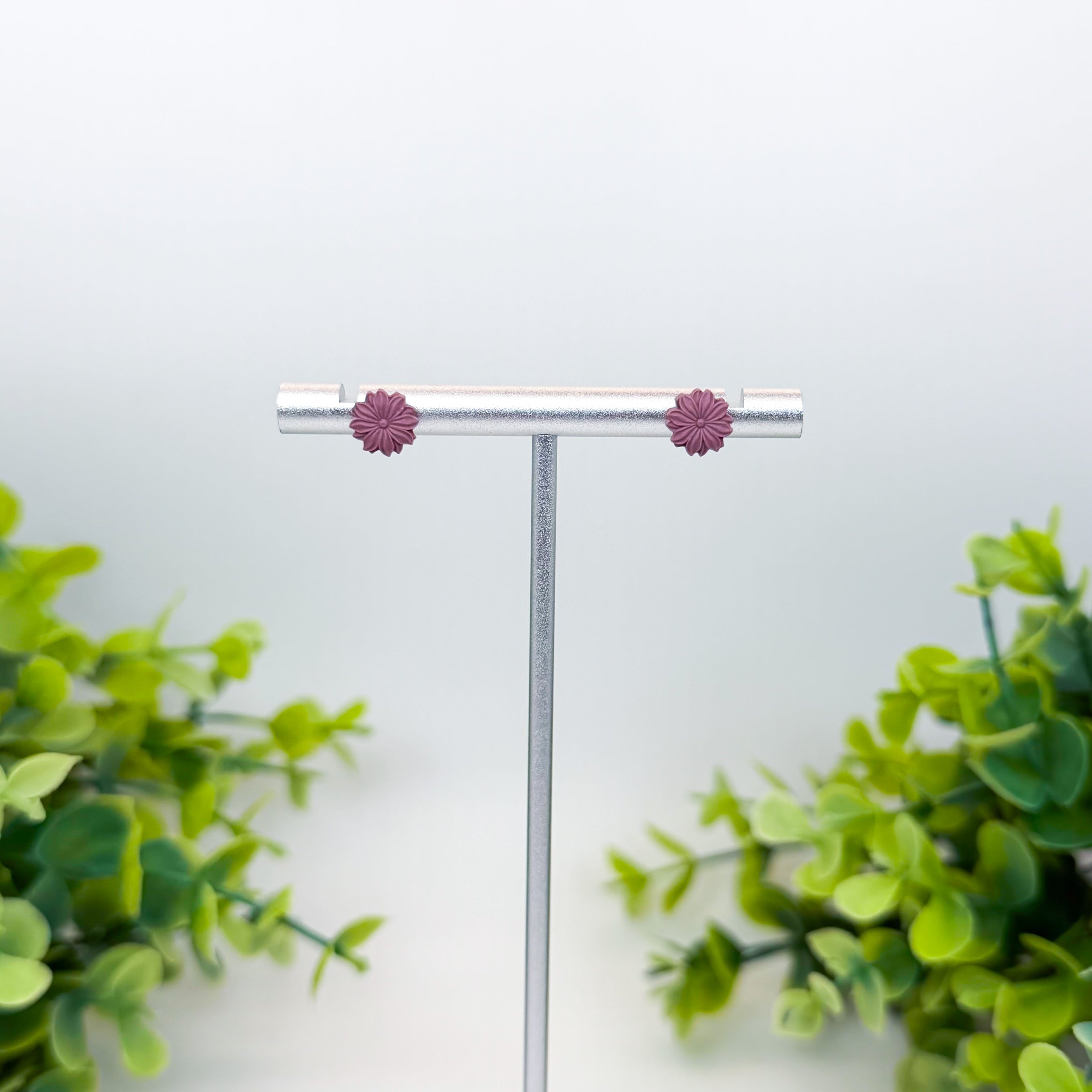 Chrysanthemum Studs