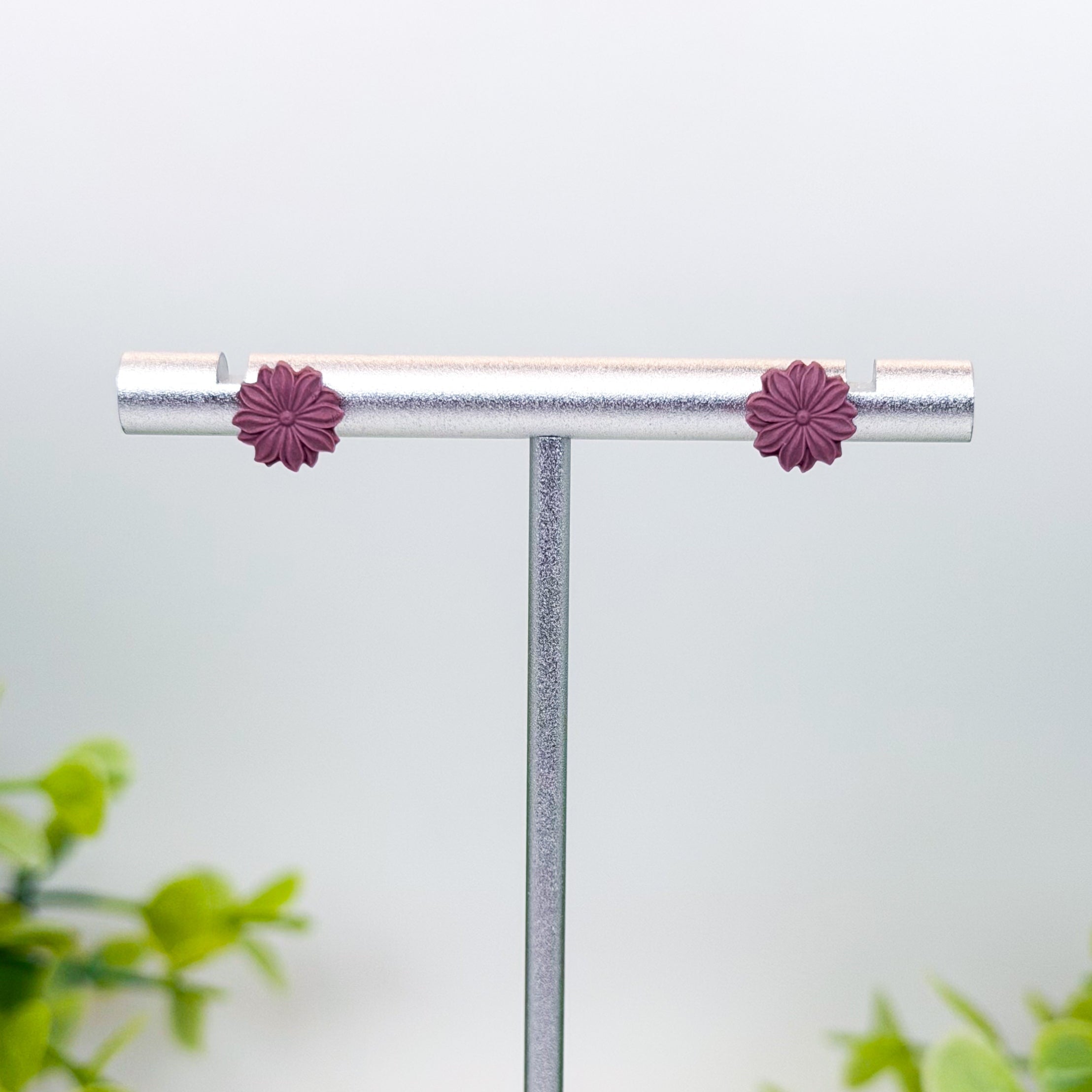 Chrysanthemum Studs