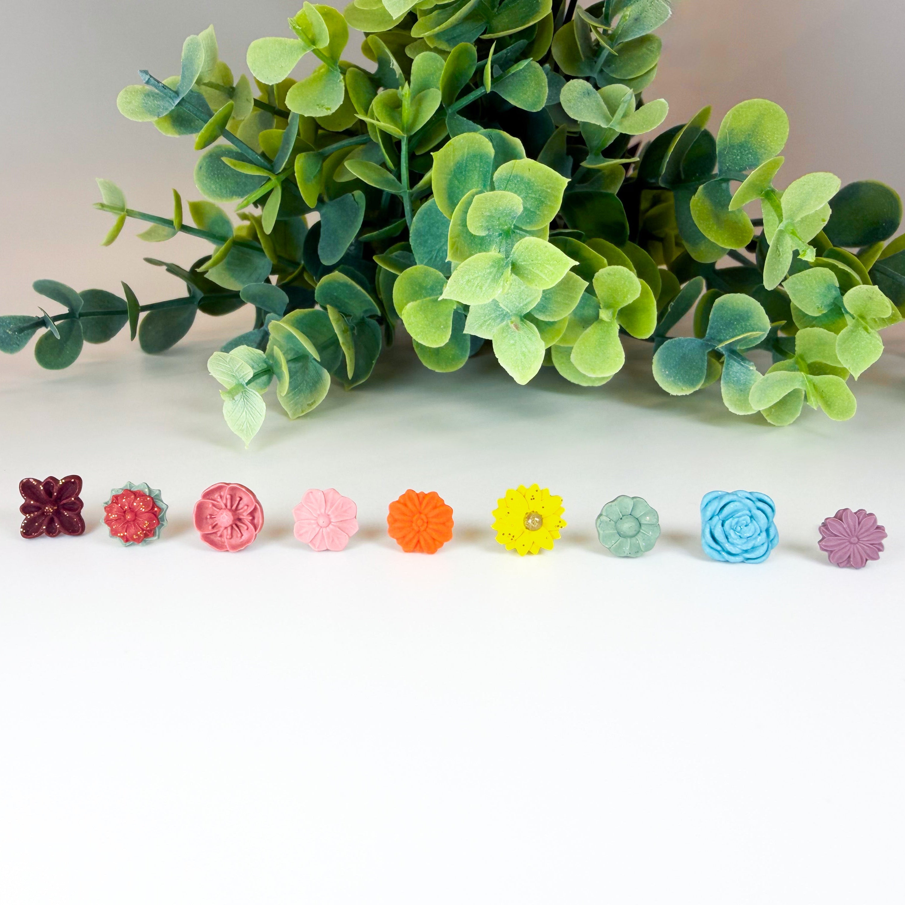 Chrysanthemum Studs