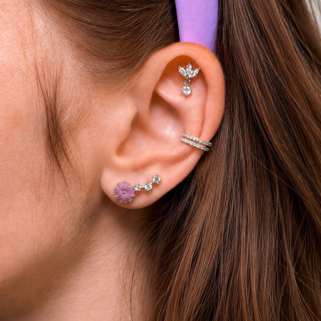 Chrysanthemum Studs