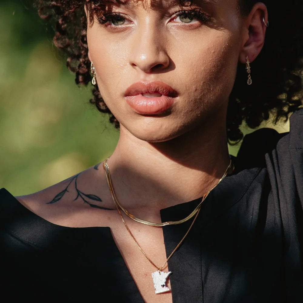 Layered Minnesota Necklace